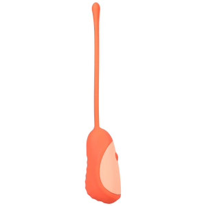 01efe97a992b51a346494cdd19911e78.png