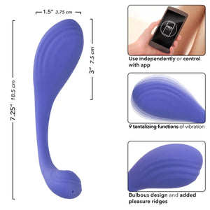Calexotics Connect Kegel Exerciser - Periwinkle - MyPleasure
