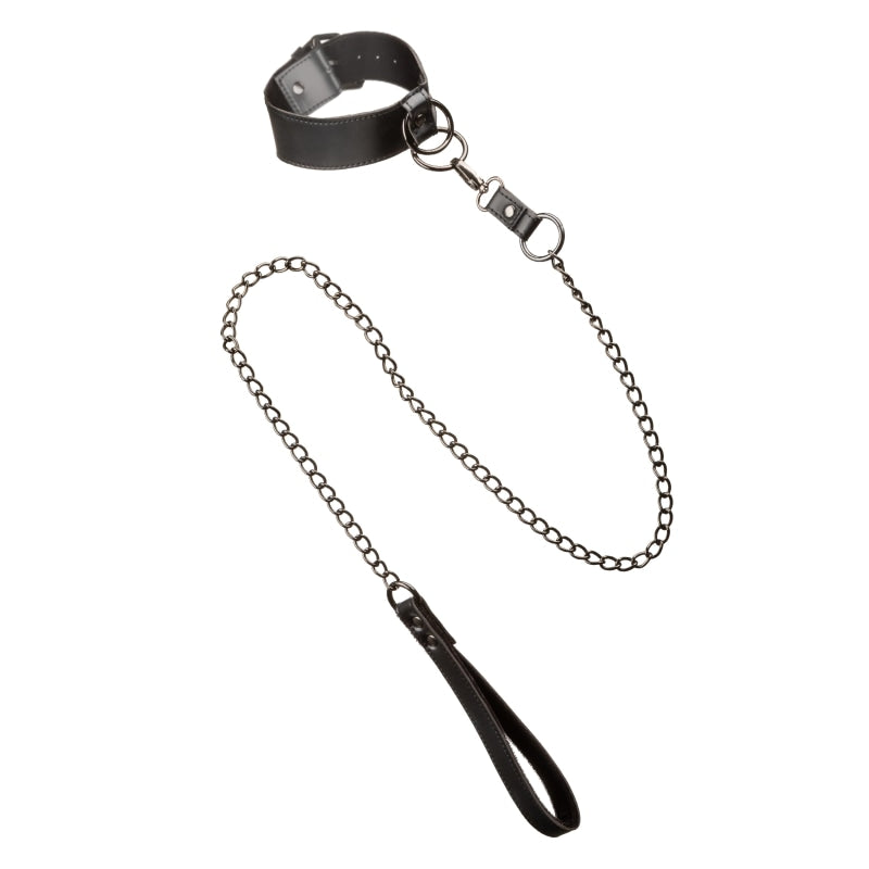 Euphoria Collection Collar With Chain Leash -  Black