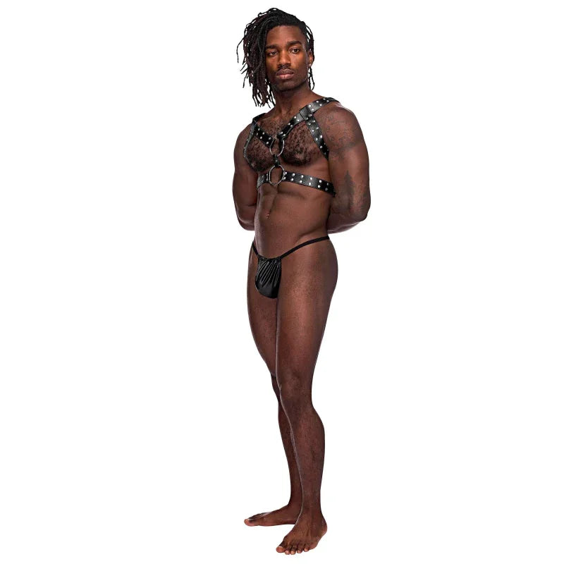 Gemini Leather Harness - One Size - Black - MyPleasure