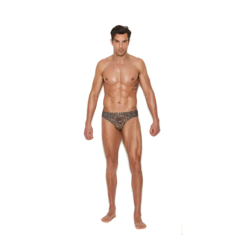 Men's Thong Back Brief - Small/medium - Animal - MyPleasure