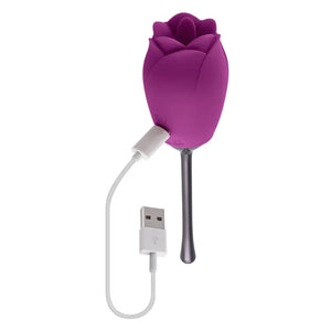 Petal - Vibrator - Plum - MyPleasure