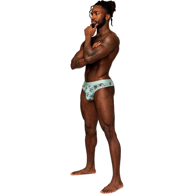 Sheer Print - Sheer Thong - Large/x-Large - Flamingo - MyPleasure