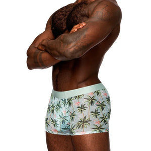 Sheer Prints - Seamless Sheer Short - Large - Flamingo - MyPleasure