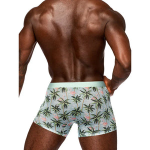 Sheer Prints - Seamless Sheer Short - Medium - Flamingo - MyPleasure