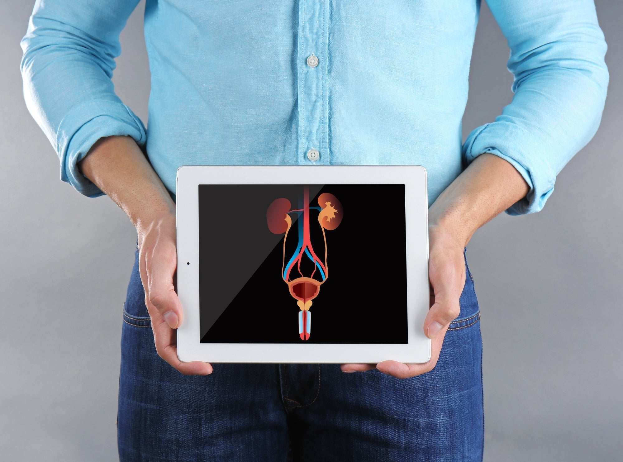 Person holding a tablet displaying a medical diagram of the male urinary and reproductive system