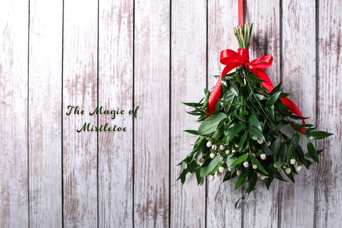 Mistletoe Magic: Embrace the Holiday Romance with MyPleasure