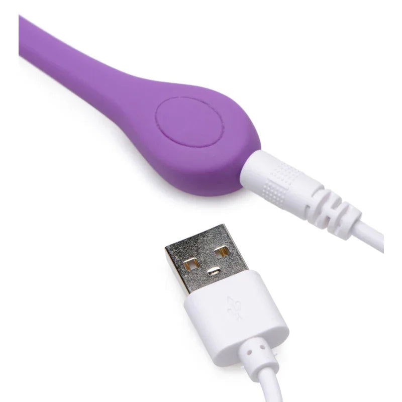 28x Plush Egg and Remote - Purple - MyPleasure