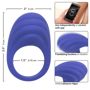 Calexotics Connect Couples Ring - Periwinkle - MyPleasure