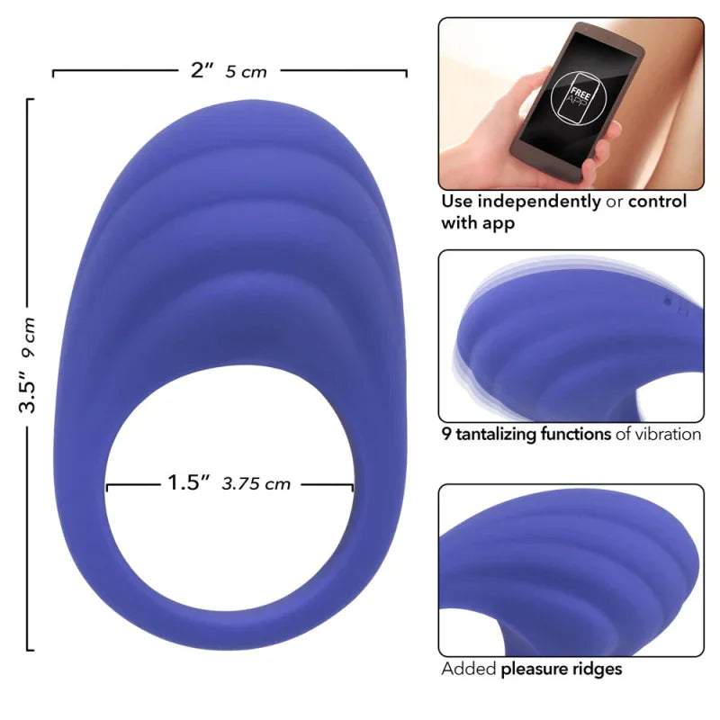 Calexotics Connect Couples Ring - Periwinkle - MyPleasure