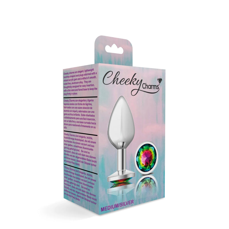 Cheeky Charms - Silver Metal Butt Plug - Round - Rainbow - Medium