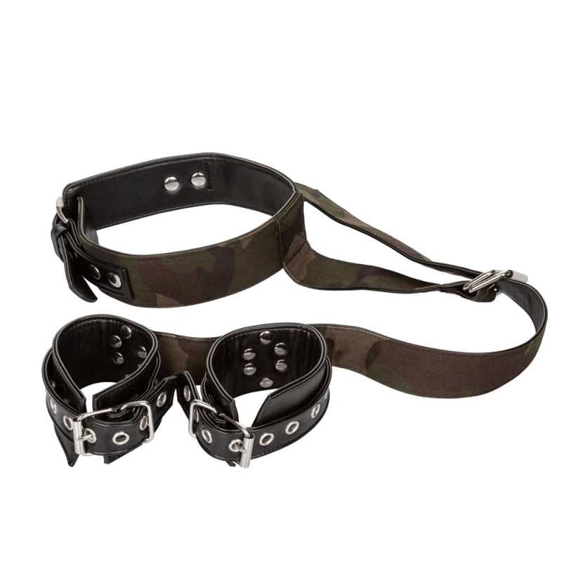 Colt Camo Collar and Cuffs