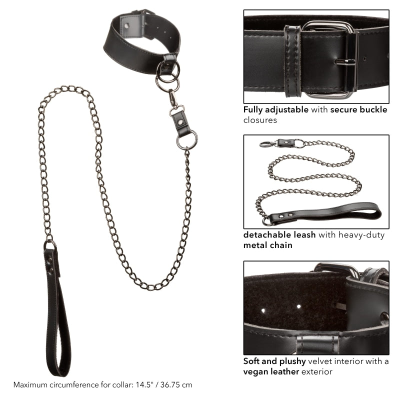 Euphoria Collection Collar With Chain Leash -  Black