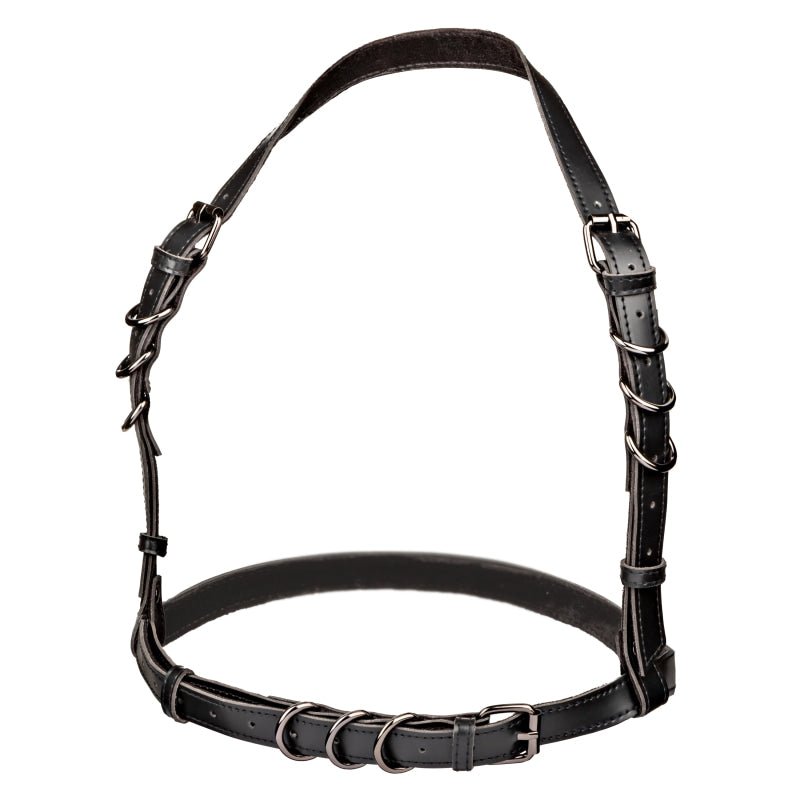 Euphoria Collection Halter Buckle Harness - Black