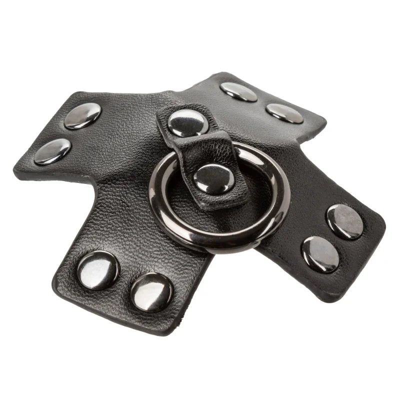 Euphoria Collection O-Ring Pasties - Black - MyPleasure