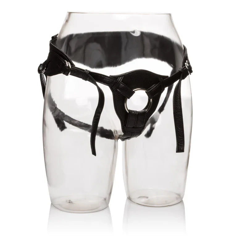 Her Royal Harness the Queen - Boxed - MyPleasure