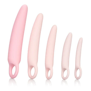 Inspire Silicone Dilator Kit - 5 Piece Set - MyPleasure