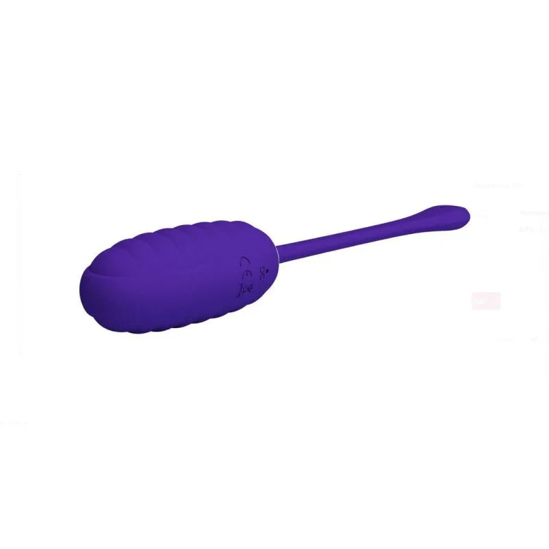 Kirk Rechargeable Vibrating Egg - Purple - MyPleasure