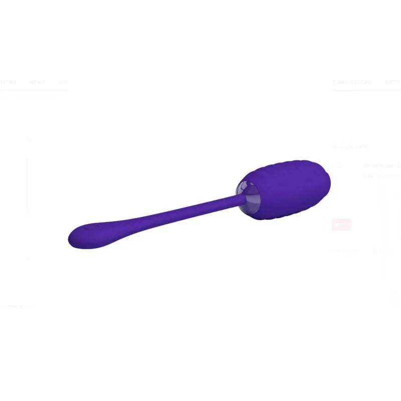 Kirk Rechargeable Vibrating Egg - Purple - MyPleasure
