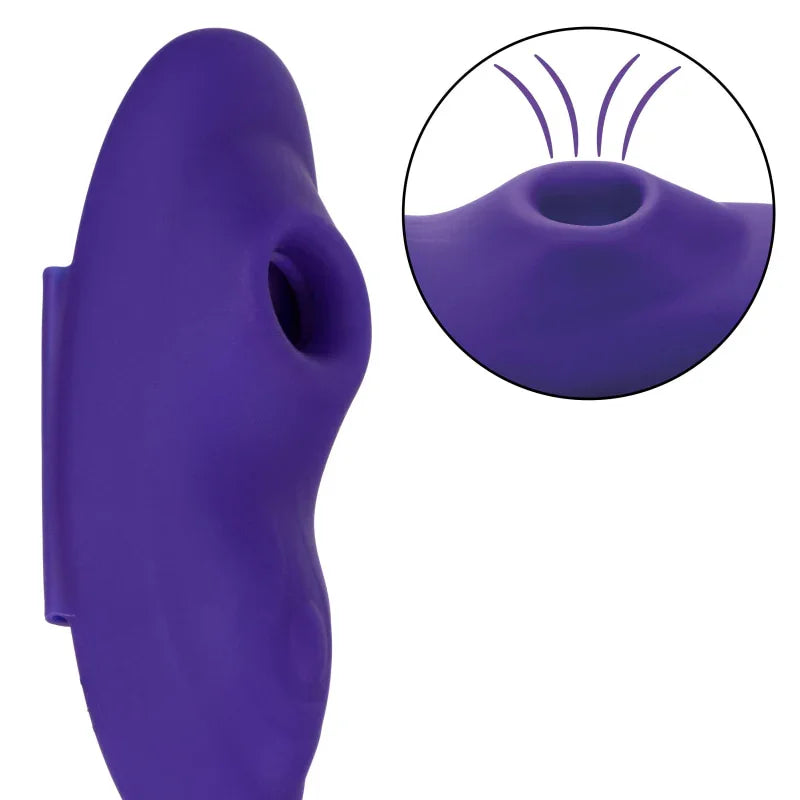 Lock-N-Play Remote Suction Panty Teaser - Purple - MyPleasure