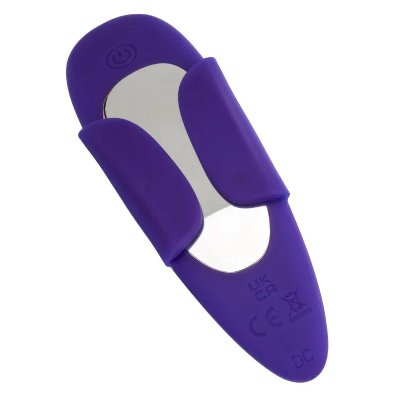 Lock-N-Play Remote Suction Panty Teaser - Purple - MyPleasure