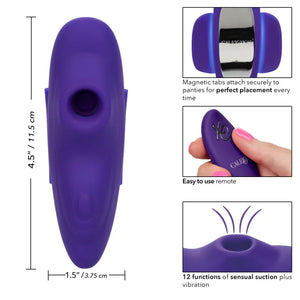 Lock-N-Play Remote Suction Panty Teaser - Purple - MyPleasure