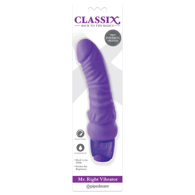 Mr. Right Vibrator - Purple - MyPleasure