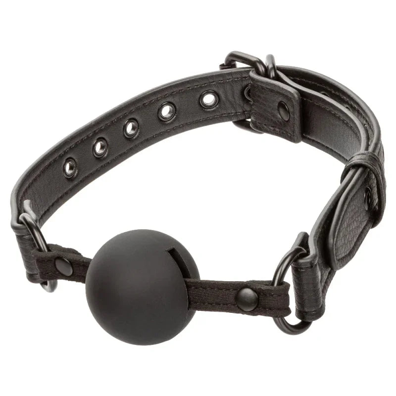 Nocturnal Collection Ball Gag - Black - MyPleasure