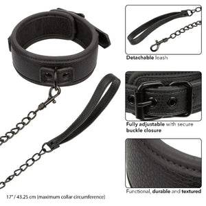 Nocturnal Collection Collar and Leash - Black - MyPleasure