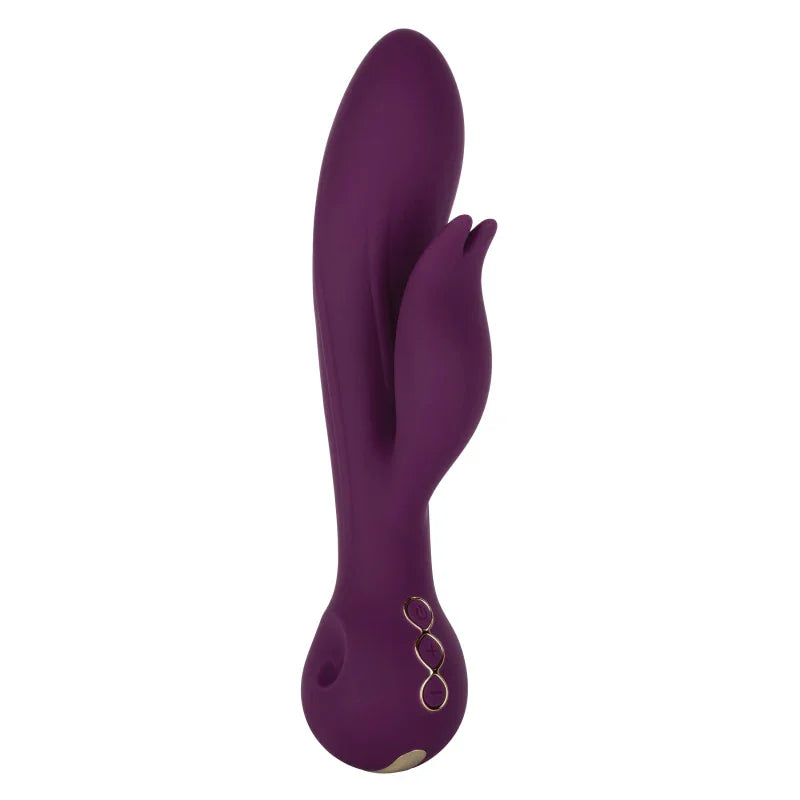 Obsession - Desire - Purple - MyPleasure