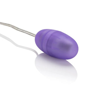 Passion Bullets Bullet and Multi Probe Bullet - Purple - MyPleasure