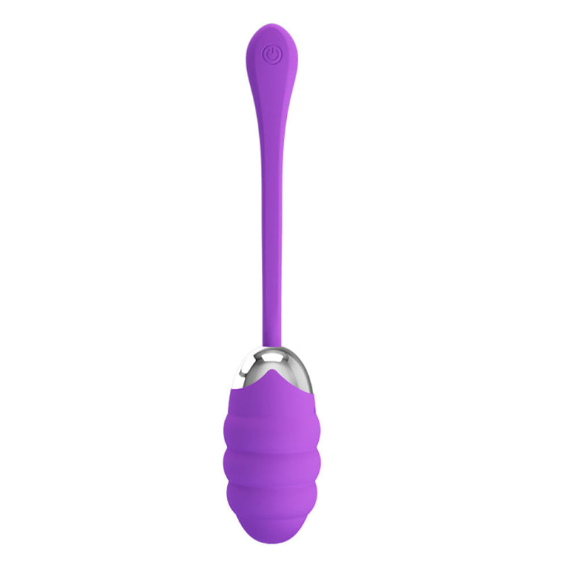 Pretty Love Franklin Rechargeable Egg Vibe - Purple