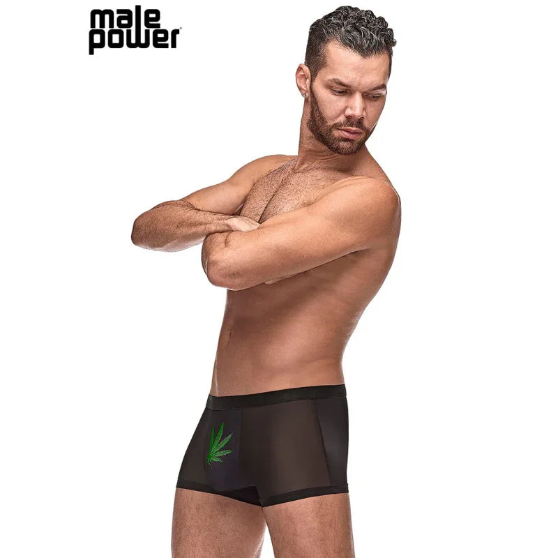 Private Screening Pot Leaf Pouch Short Black - MyPleasure