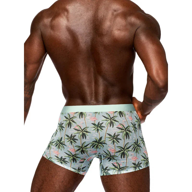 Sheer Prints - Seamless Sheer Short - Medium - Flamingo - MyPleasure