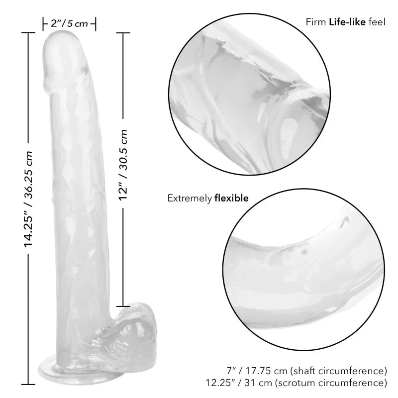 Size Queen 12 inch/30.5 Cm - Clear - MyPleasure
