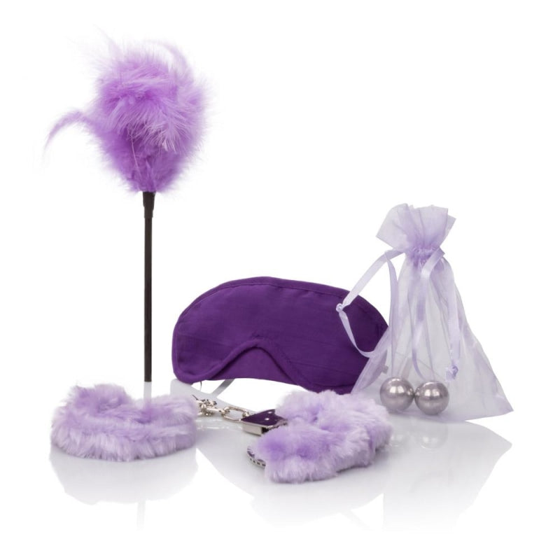 Berman Shades of Purple Playroom Kit SE9760103