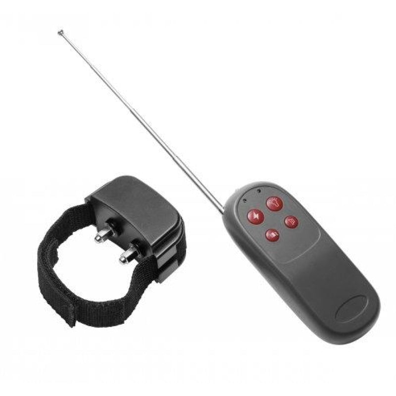 Cock Shock Remote Cbt Electric Cock Ring MS-AE237