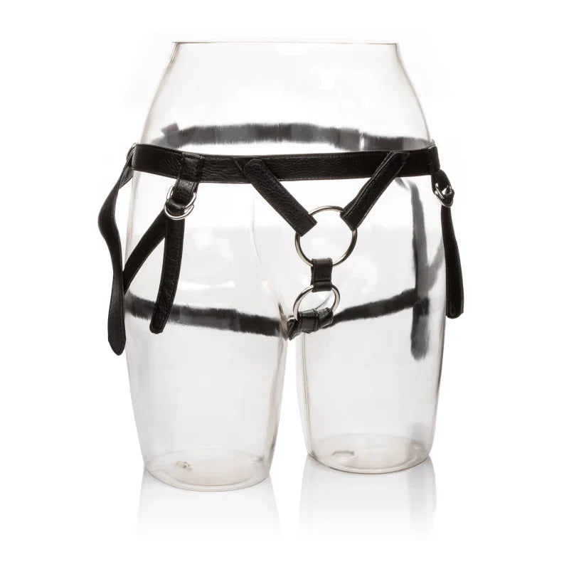 Her Royal Harness the Duchess - Boxed - MyPleasure