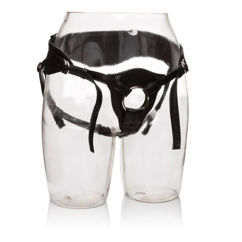 Her Royal Harness the Queen - Boxed - MyPleasure