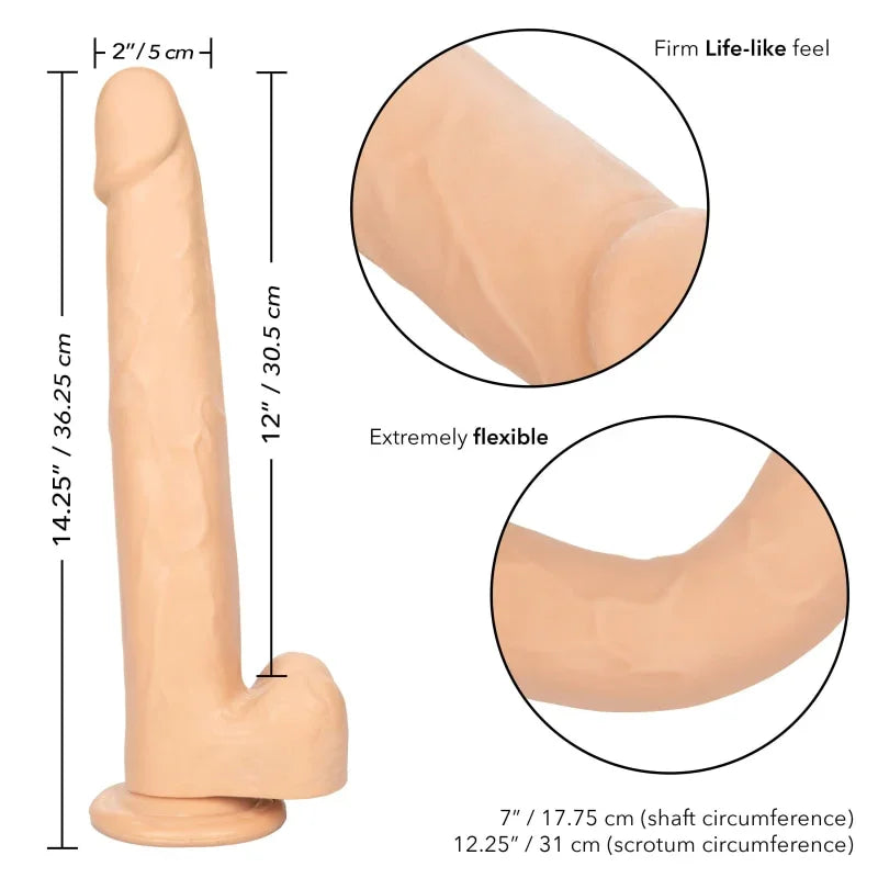 Size Queen 12 inch/30.5 Cm - Ivory - MyPleasure